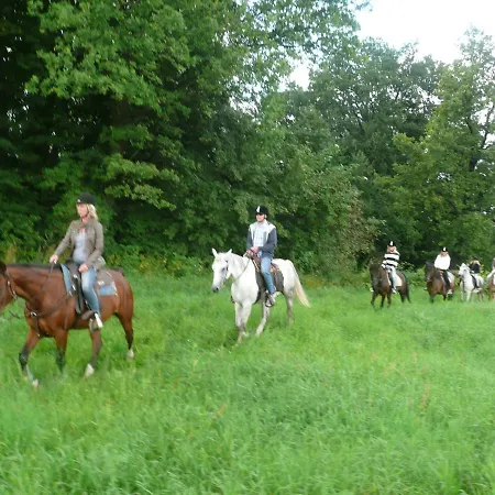 In Giant Mountains Sw Poland * Jarkowice (Lubawka)