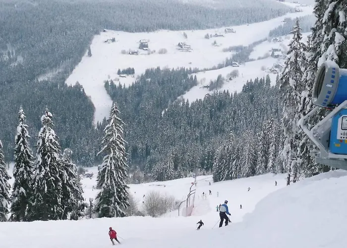 In Giant Mountains Sw Poland Jarkowice (Lubawka)